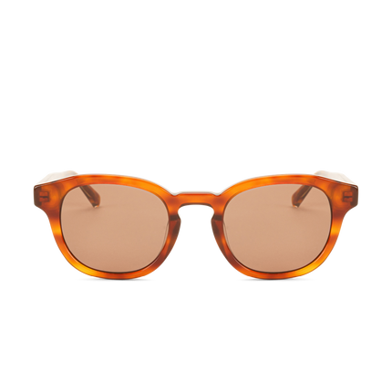BILLE REVEAL Brown Transparent - Solbrille