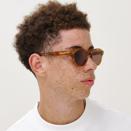 BILLE Brown Havana - Solbrille