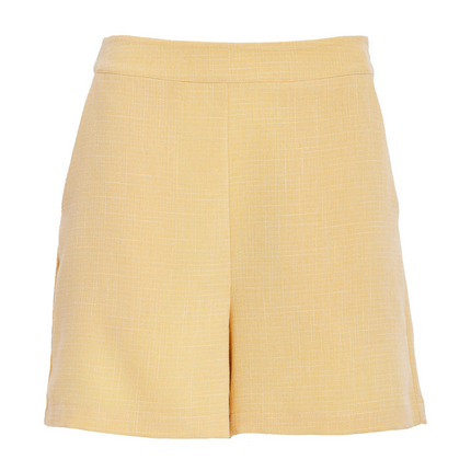 DSGemma Shorts