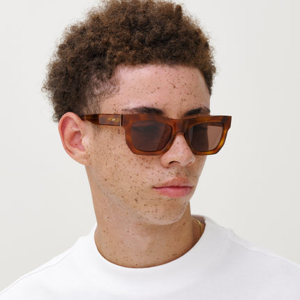 DON Brown Havana - Solbrille