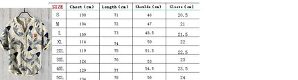 New V-neck red-crowned crane 3D linen printing foreign trade fashion casual loose bamboo linen shirt top