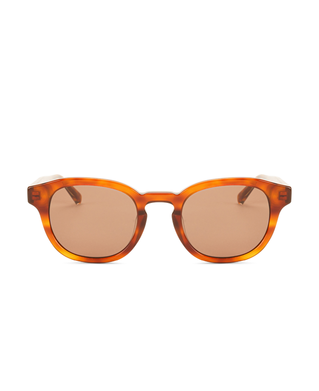 BILLE REVEAL Brown Transparent - Solbrille