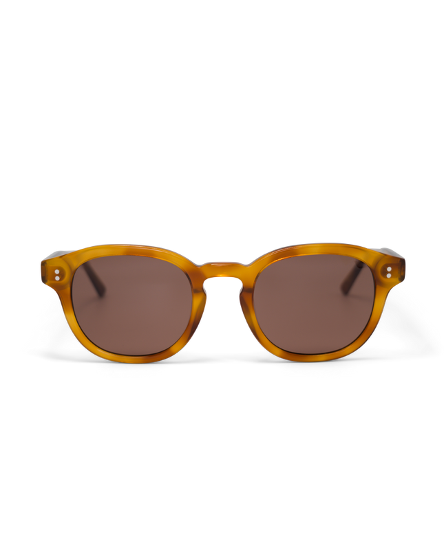 BILLE Brown Havana - Solbrille