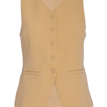 DSGemma Vest