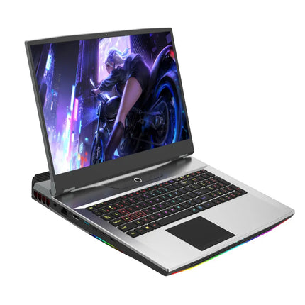 Oem Customized 17.3Inch New Product I9-10885H Gtx1050Ti 16Gb 32Gb Ram With Colorful Backlit Keyboard Window 10 Gaming Laptop