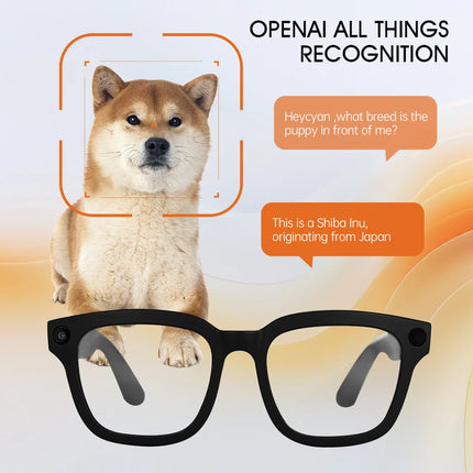 M01 Smart AI Glasses with 800W 1080P HD Camera AI Translation ENC Noise Reduction Chatgpt Sports Smart Wearable Headset