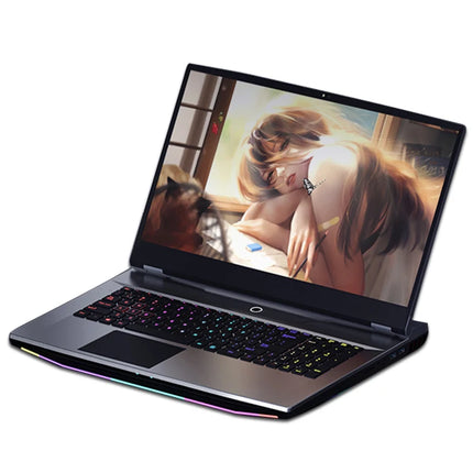 Oem Customized 17.3Inch New Product I9-10885H Gtx1050Ti 16Gb 32Gb Ram With Colorful Backlit Keyboard Window 10 Gaming Laptop