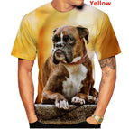 LY2257-002 / 5XL