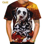8 / 5XL