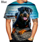 LY22523026 / 3XL