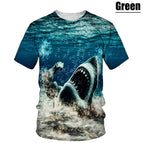 O1E30711110504 / 5XL