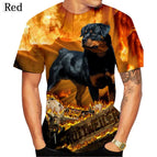 LY2270421 / 5XL