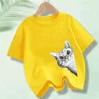 Yellow 2 / 3T