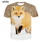 LY22122934 / 5XL