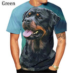 LY2263011 / 4XL