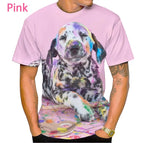 2 / XL