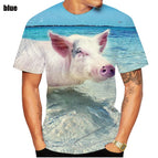 Blue / 4XL