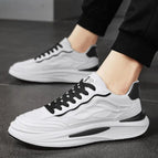 White black / 43