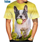 LY228815031 / 4XL