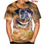 LY221213Y031 / 5XL