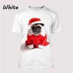 LY221128053 / 4XL