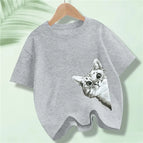 Grey 2 / 10T