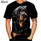 LY22615-22 / 5XL
