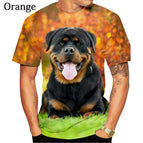 Orange / 2XL