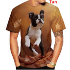 Tan / 5XL